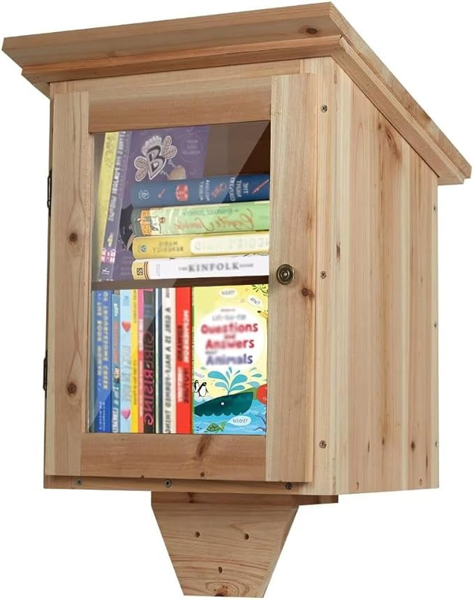 Little Library Box Outdoor Free Library - Double Little Library Outdoor Box Storage with Shelf fo... | Amazon (US)