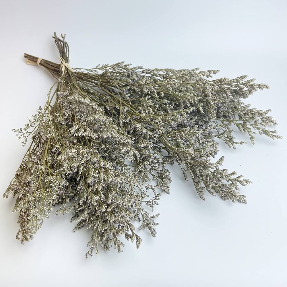 Preserved Caspia Statice Flower Bouquets, 100% Natural Long Lasting Flowers, 17 Inch Arrangements... | Amazon (US)