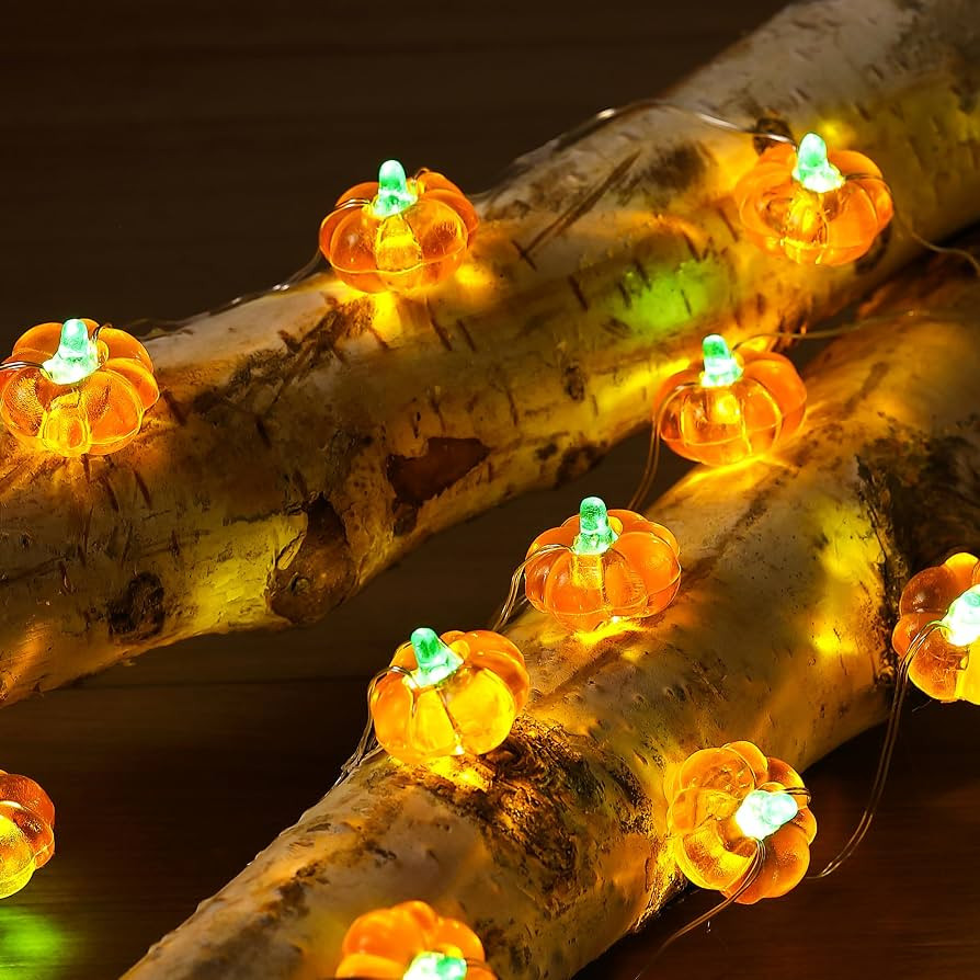 Pumpkin String Lights 10Ft 30 LEDs Halloween Decorations Battery Operated Orange Lights for Hallo... | Amazon (US)