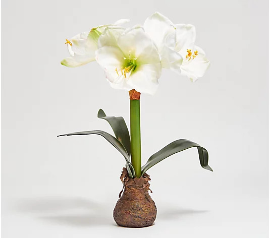 Barbara King 16" Illuminated Real Touch Amaryllis Bulb | QVC