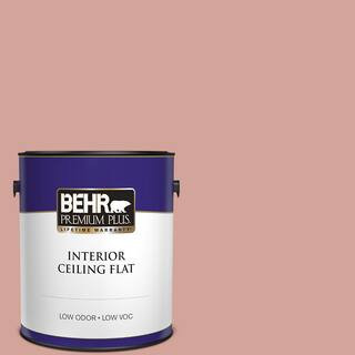 BEHR PREMIUM PLUS 1 gal. #S160-3 Bubble Shell Ceiling Flat Interior Paint 55801 - The Home Depot | The Home Depot