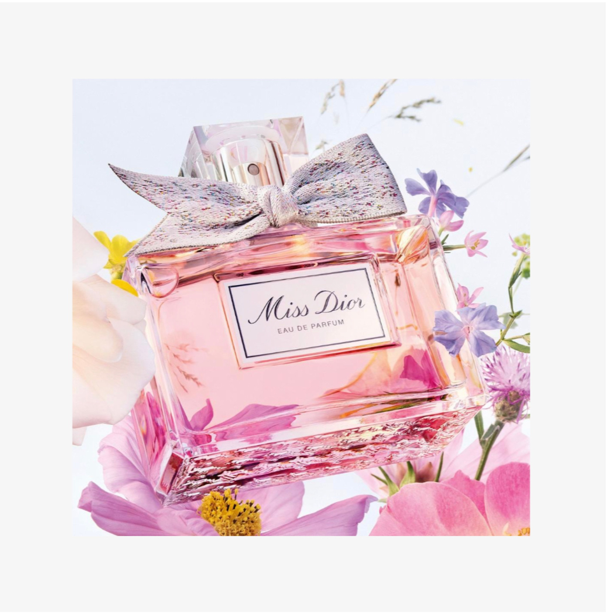 The best summery perfume 

#LTKFind #LTKSeasonal #LTKbeauty