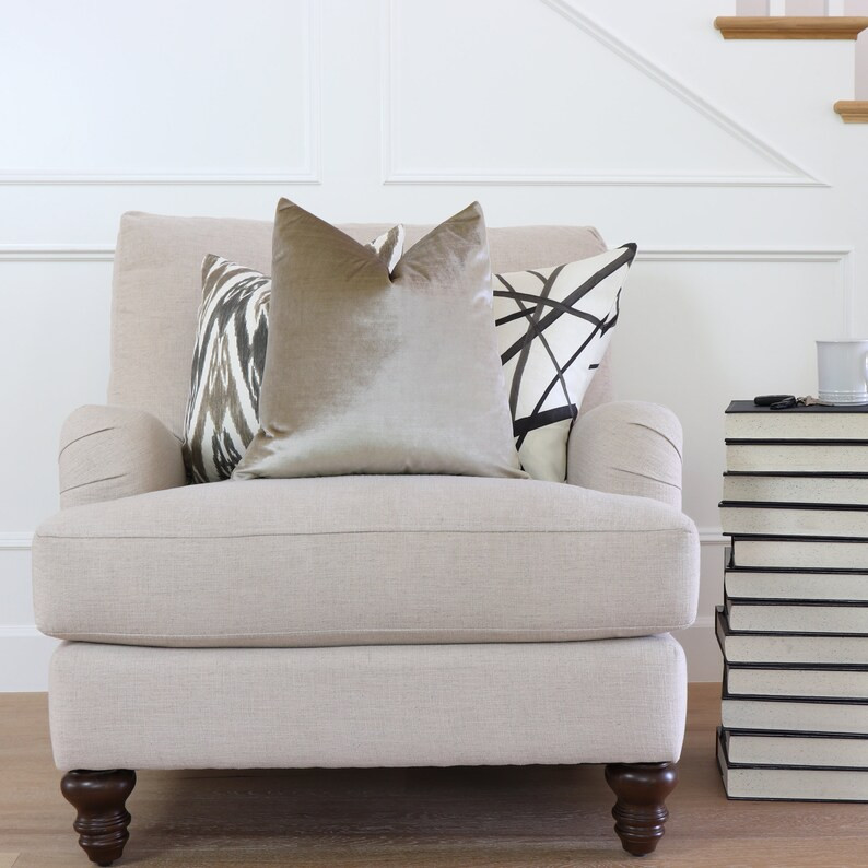 Beige Velvet Decorative Pillow Cover 18x18 20x20 22x22 | Etsy | Etsy (US)