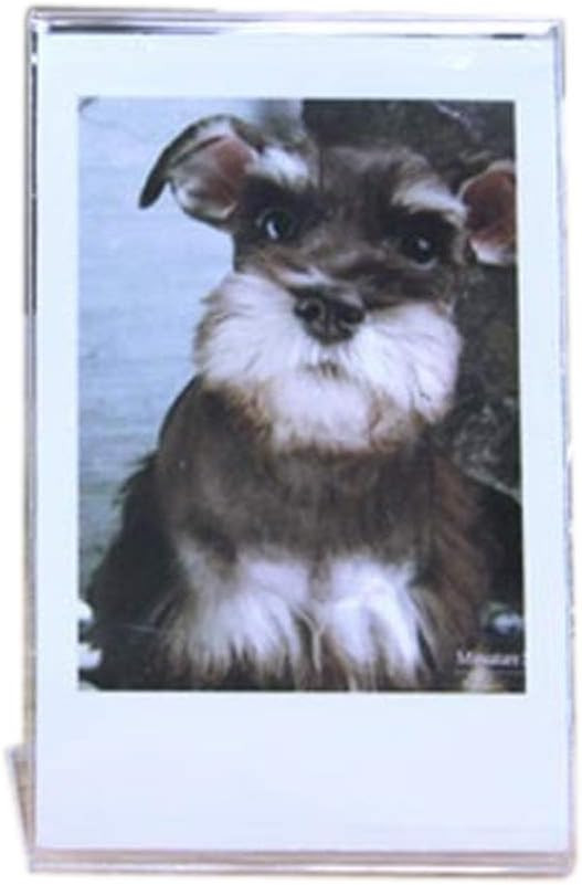 Stand Photo Frame for Fujifilm Instax Polaroid Mini Films | Amazon (US)