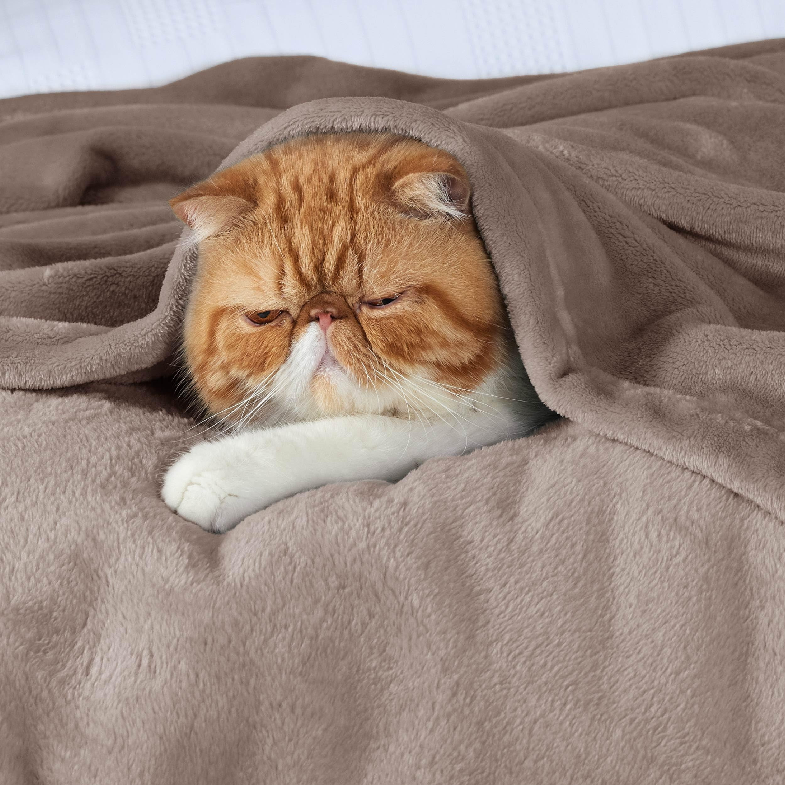 Bedsure GentleSoft Fleece Bed Blankets Queen Size Mocha Brown - Soft Lightweight Plush Fuzzy Cozy... | Amazon (US)