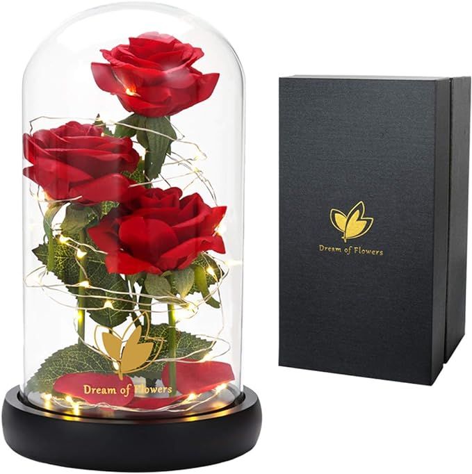 Valentines Women Gifts, Valentine's Day Rose Gift for Her, Beauty and The Beast Rose Flowers, Ann... | Amazon (US)