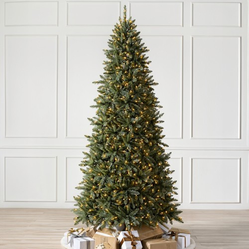 Balsam Hill Traditional Concolor Pre-Lit Fir Tree, 6.5', LED Clear | Williams-Sonoma