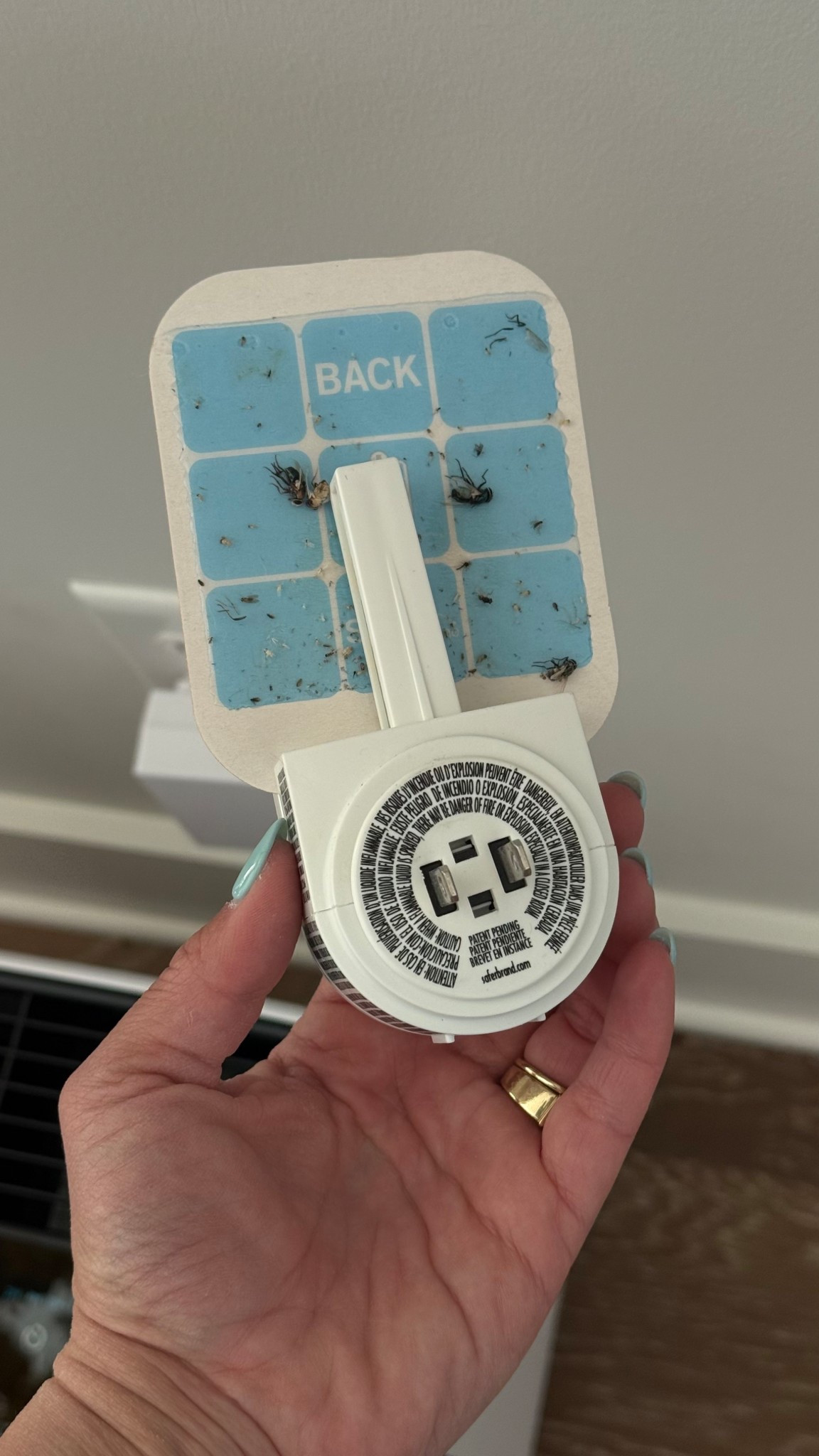 If you live in the south you know these are a must! They are apart of Amazon’s big spring sale today!!


#LTKdayinmylife #LTKmorningroutine #LTKHome