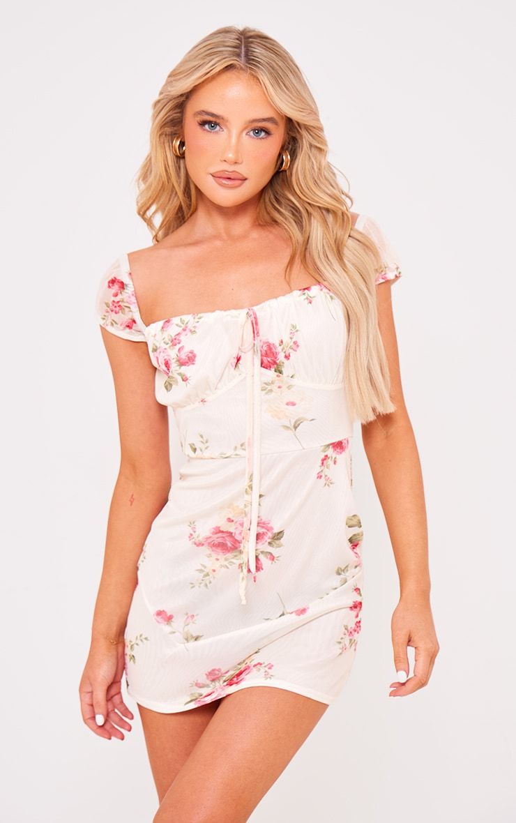 Cream Floral Mesh Cap Sleeve Mini Dress | PrettyLittleThing US