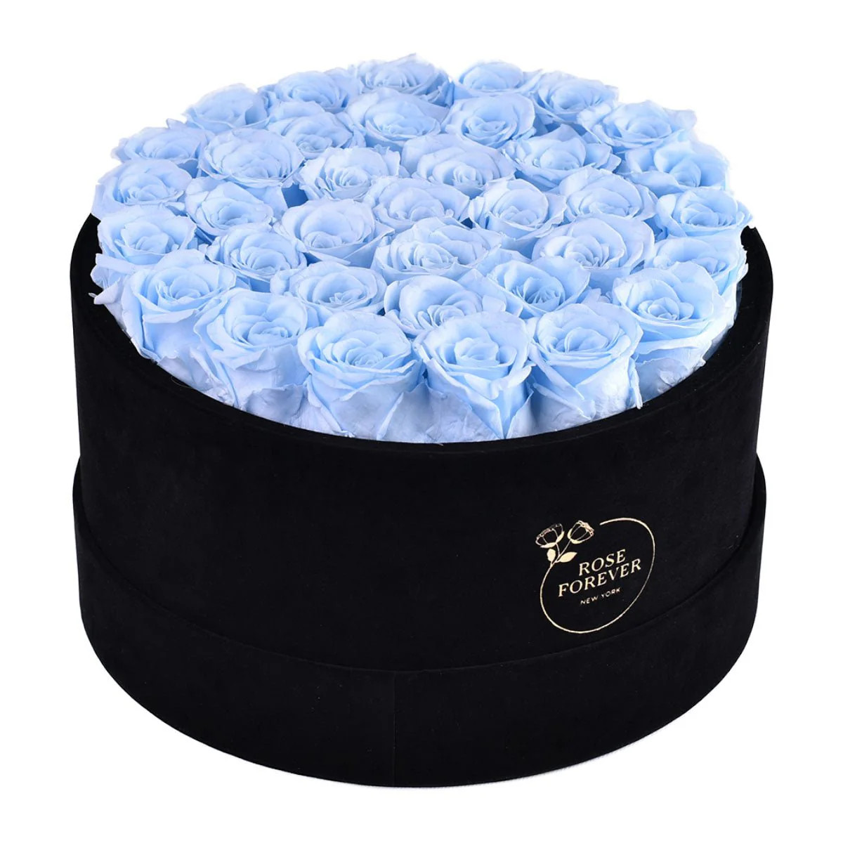 36 Baby Blue Roses - Black Round Velvet Box | Rose Forever 