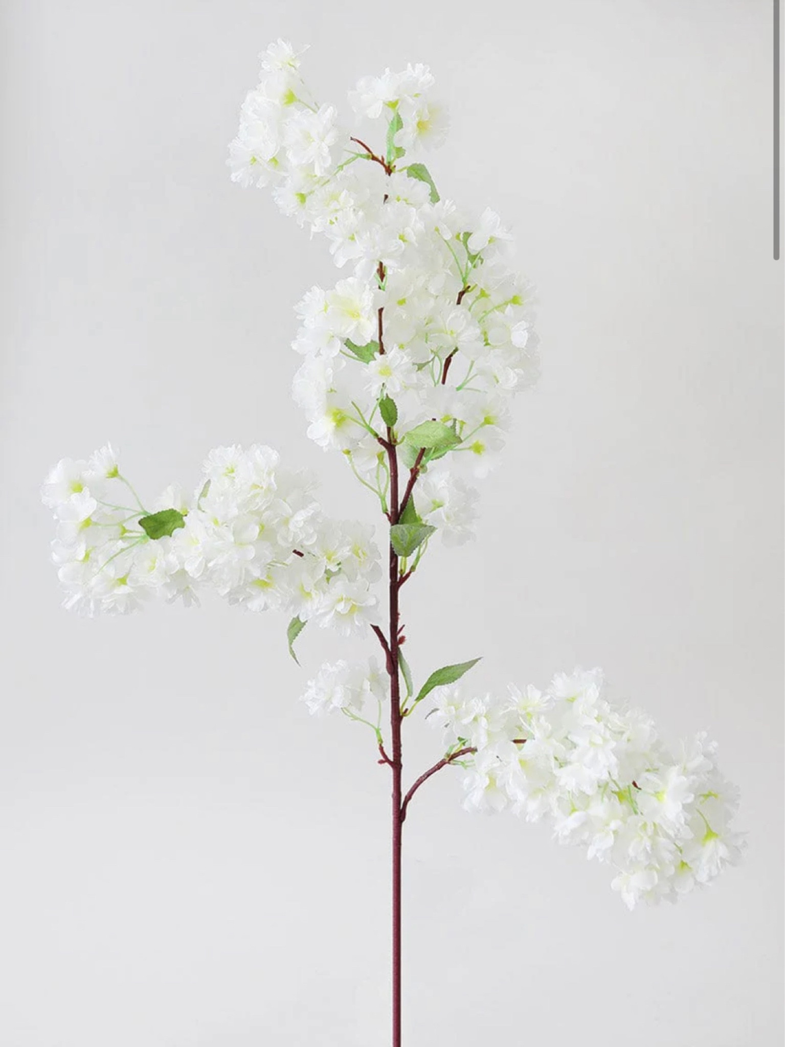 White Cherry Blossom Stems

#LTKunder50 #LTKhome #LTKunder100