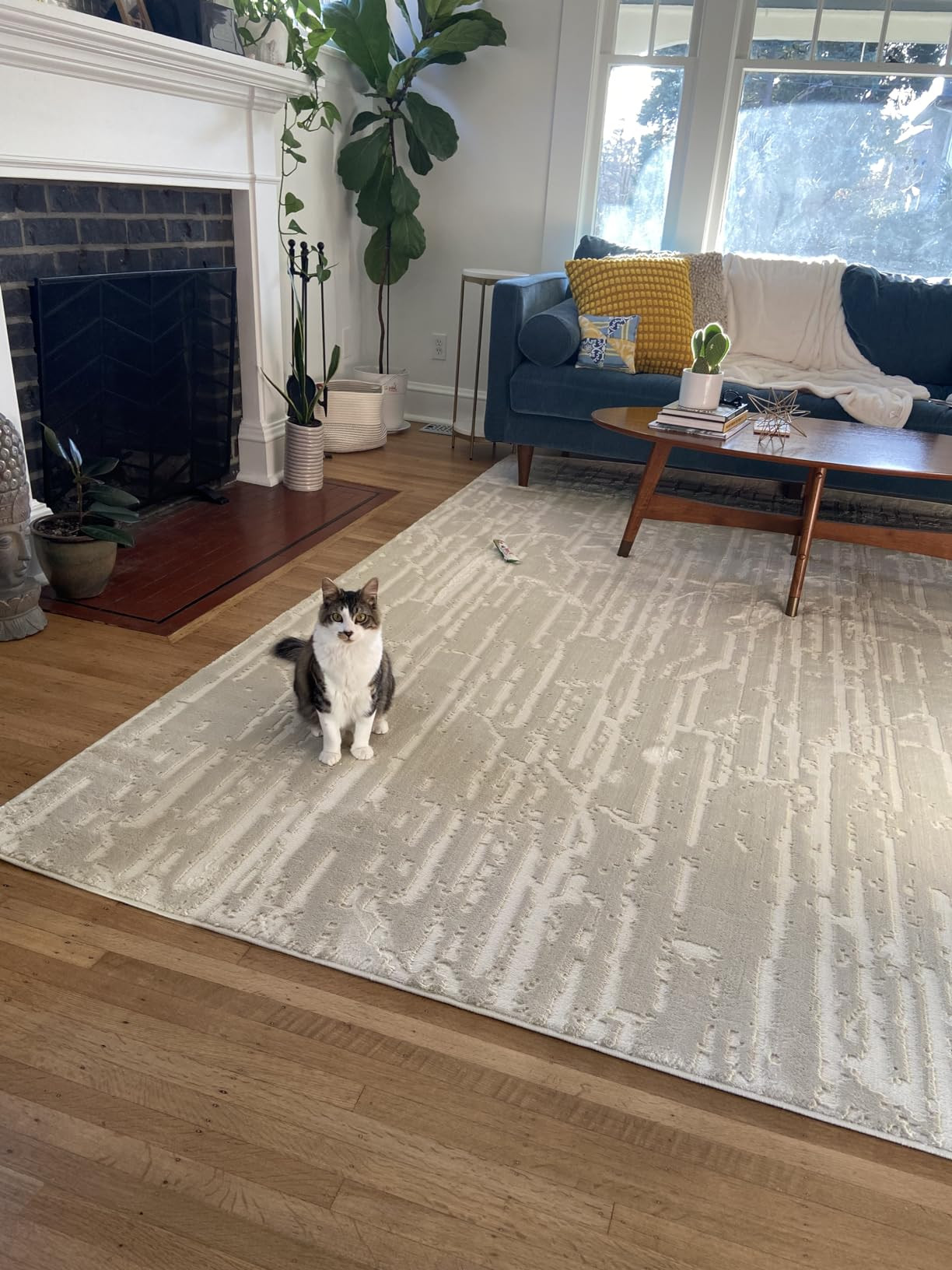 Shell 6'7"x9' Washable Area Rug for Living Room Bedroom - 100% Recycled Oeko-TEX Certified, Mediu... | Amazon (US)