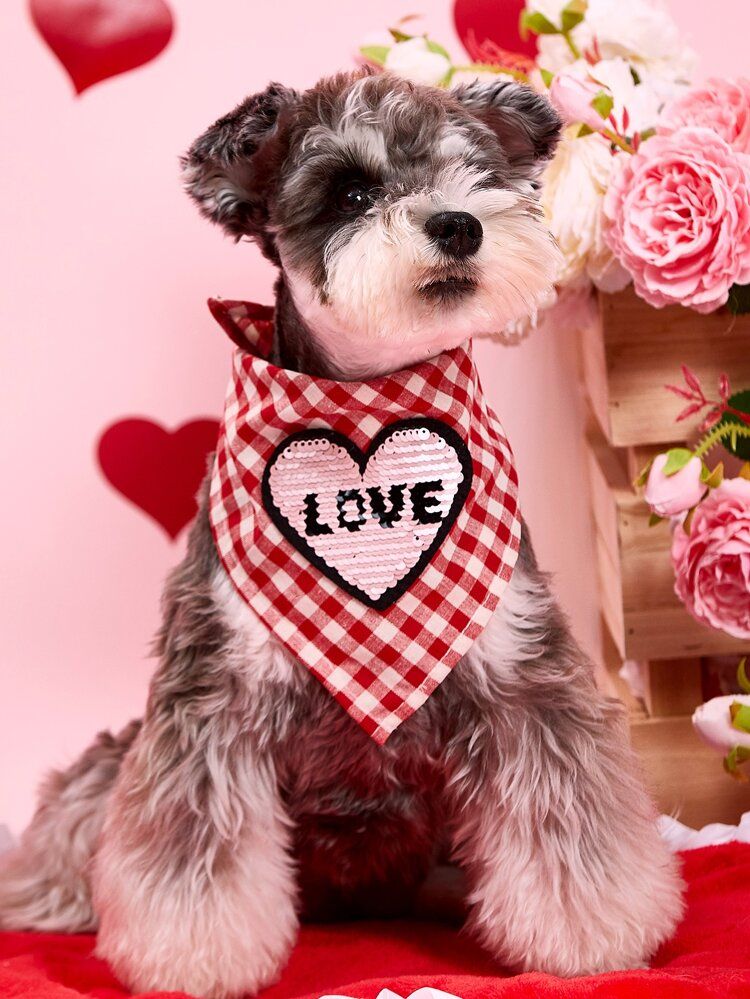 Gingham Pattern Sequin Decor Pet Bandana | SHEIN