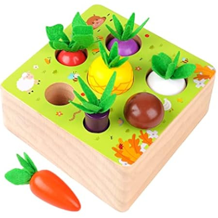 Doyolta Montessori Wooden Toys for Toddlers 1 2 Year Old Boys Girls, Colorful Vegetables Farm Harves | Amazon (US)