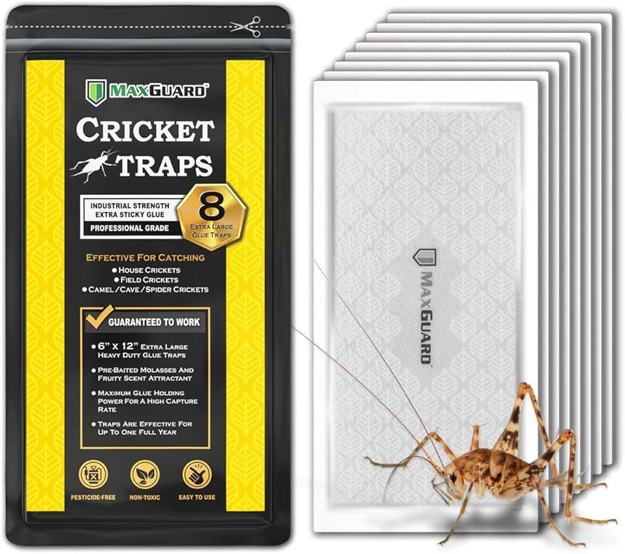MaxGuard Extra Large Cricket Traps (8 Traps) | Non-Toxic Extra Sticky Glue Board Pre-Baited Crick... | Amazon (US)