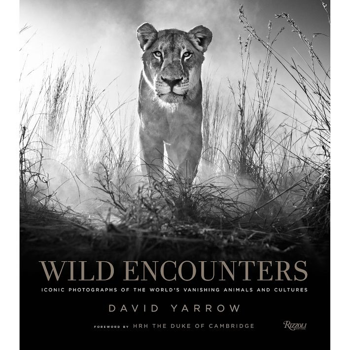 Wild Encounters | West Elm (US)