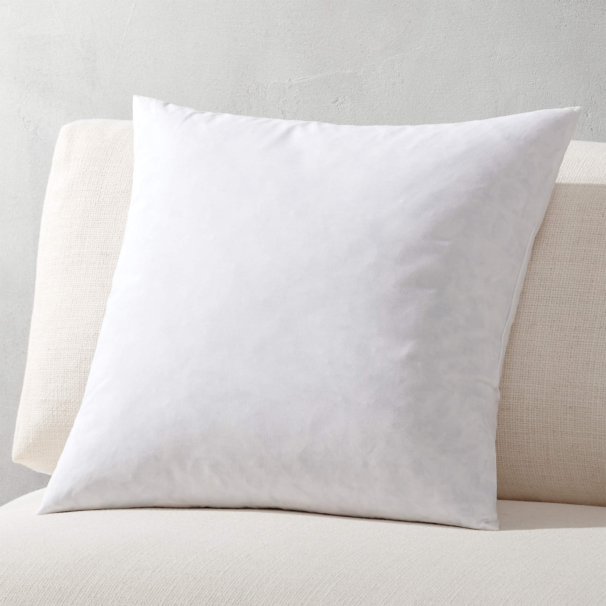 Feather-Down Throw Pillow Insert 18"x18" + Reviews | CB2 | CB2