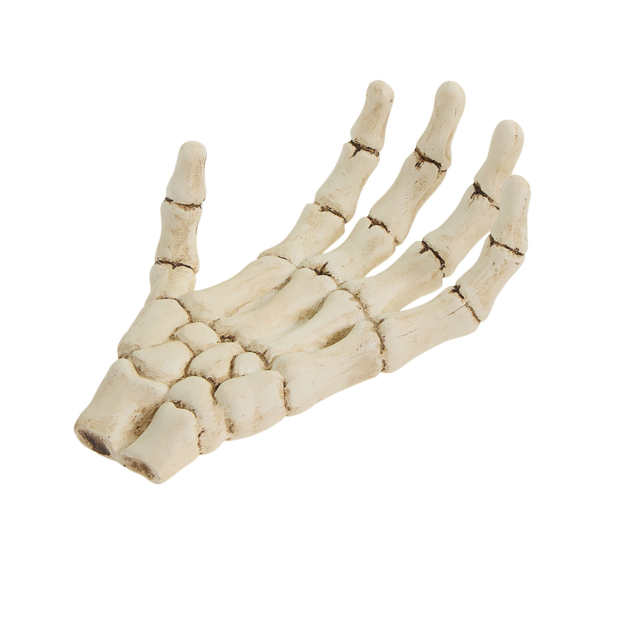 Thrills & Chills® Skeleton Hand Reptile Terrarium Décor | PetSmart