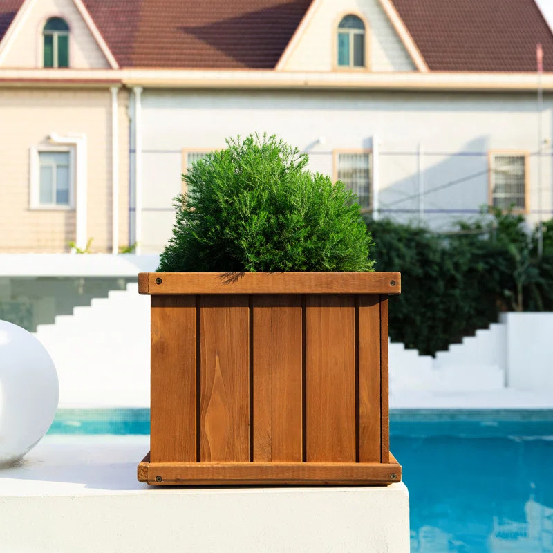 Alann 15 inch Cedar wood Square Planter Box | Wayfair North America