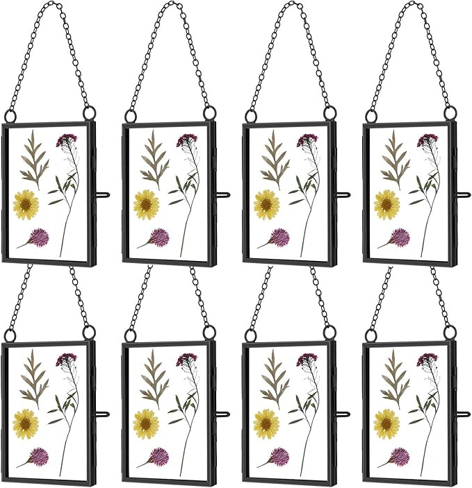 8 Pcs Double Glass Frame for Pressed Dried Flowers 3.5 x 2.5 Inch, Hanging Floating Picture Frame... | Amazon (US)