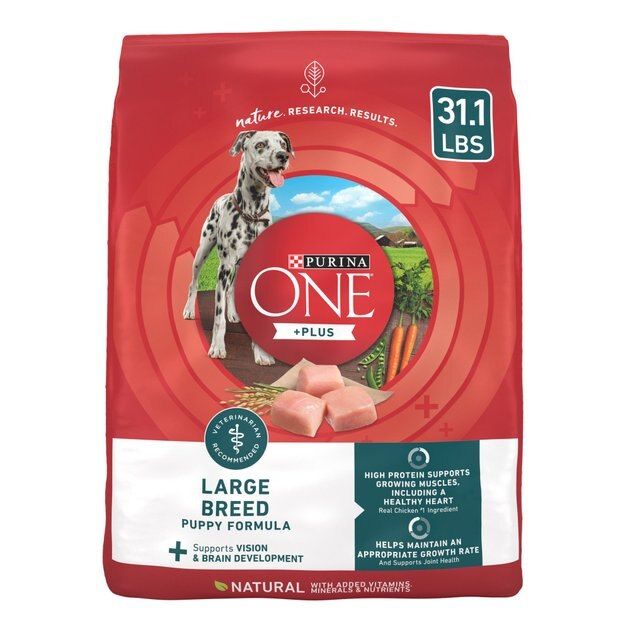 Purina ONE SmartBlend Large Breed Puppy Formula Dry Dog Food, 31.1-lb bag | Chewy.com
