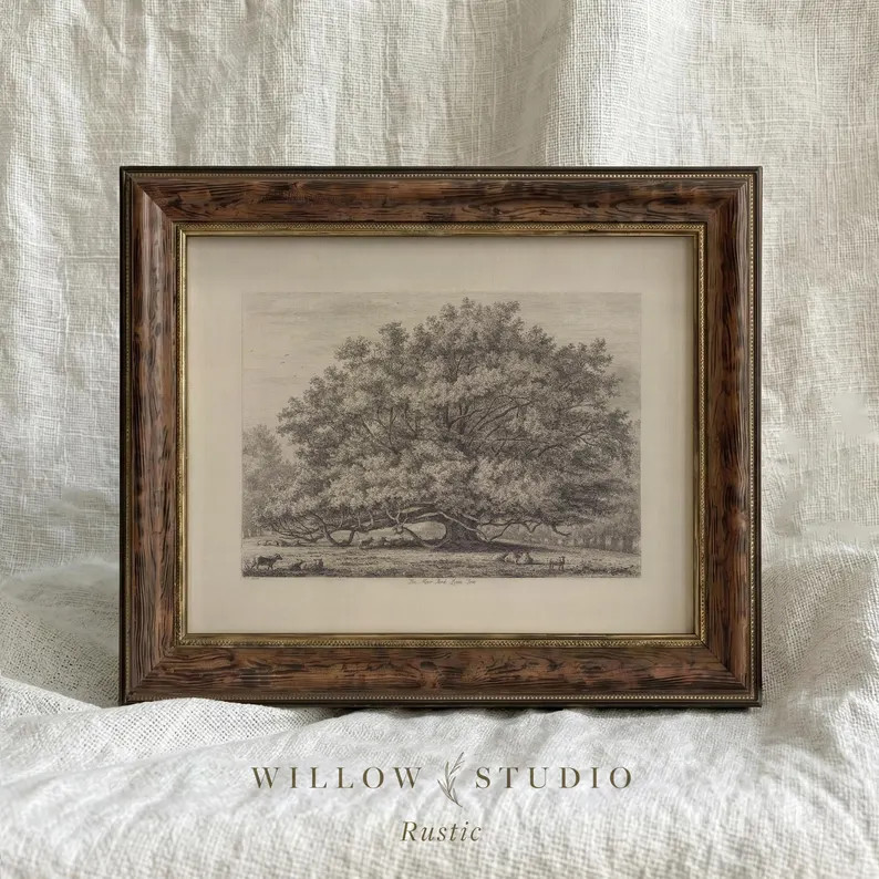 Vintage Oak Tree Sketch Print, Rustic Wood Framed Botanical Art, Cottagecore Wall Decor - Etsy | Etsy (Global)