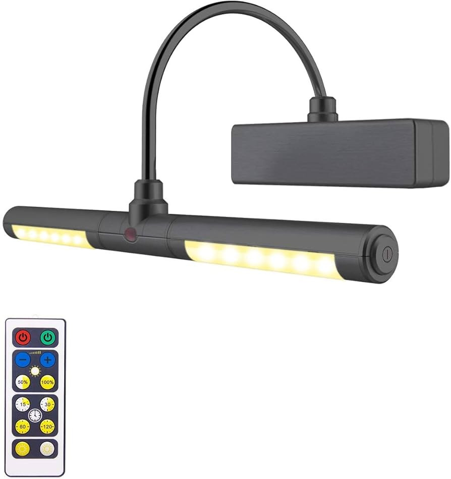 LUXSWAY Picture Light Battery Powered, Wireless Painting Light with Remote, 3 Modes Brightness Ar... | Amazon (US)