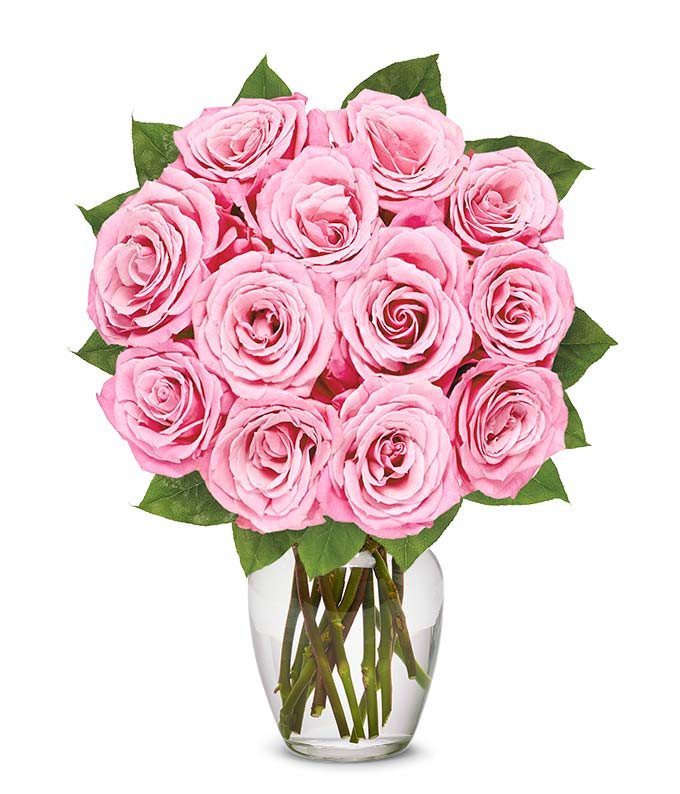 One Dozen Light Pink Roses | From You Flowers