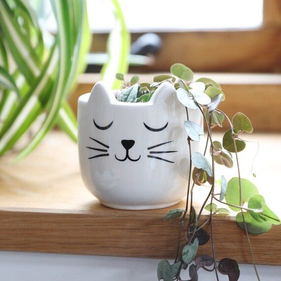 Sass & Belle Cat's Whiskers Mini Planter, H6.5cm | Etsy (US)