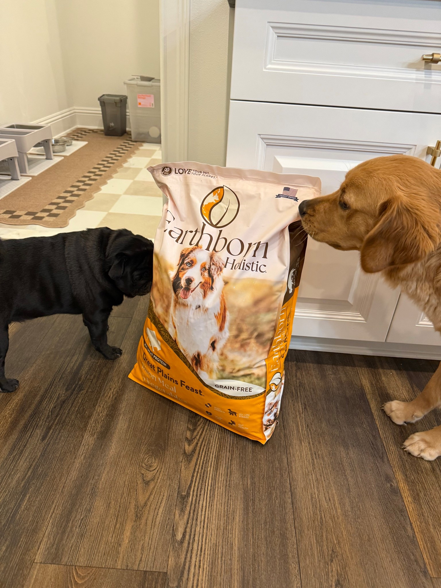 Dogs holistic food I add bone broth to 

#LTKHome #LTKFamily #LTKPets