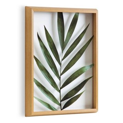 16" x 20" Blake Botanical 5F Framed Printed Glass by Amy Peterson Natural - Kate and Laurel | Target