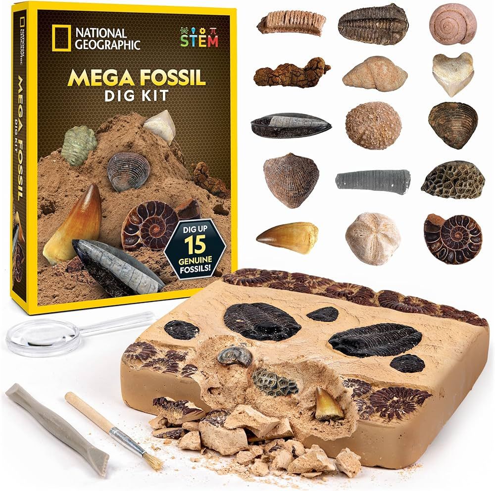 NATIONAL GEOGRAPHIC Mega Fossil Dig Kit - Excavate 15 Genuine Prehistoric Fossils, Kids Education... | Amazon (US)