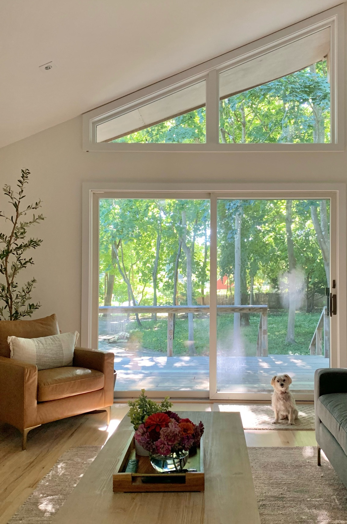 Peaceful morning at Chalet by the Bay 🍃 My chair, couch and rug are currently on sale!

Leather club accent chair
Wood coffee table
Woven jute chenille rug
Mid century modern
Customizable grey couch
A frame cabin chalet
Faux olive tree plant
Pottery Barn
Throw pillows
#competition
#ltksalealert

#LTKfamily #LTKsalealert #LTKhome