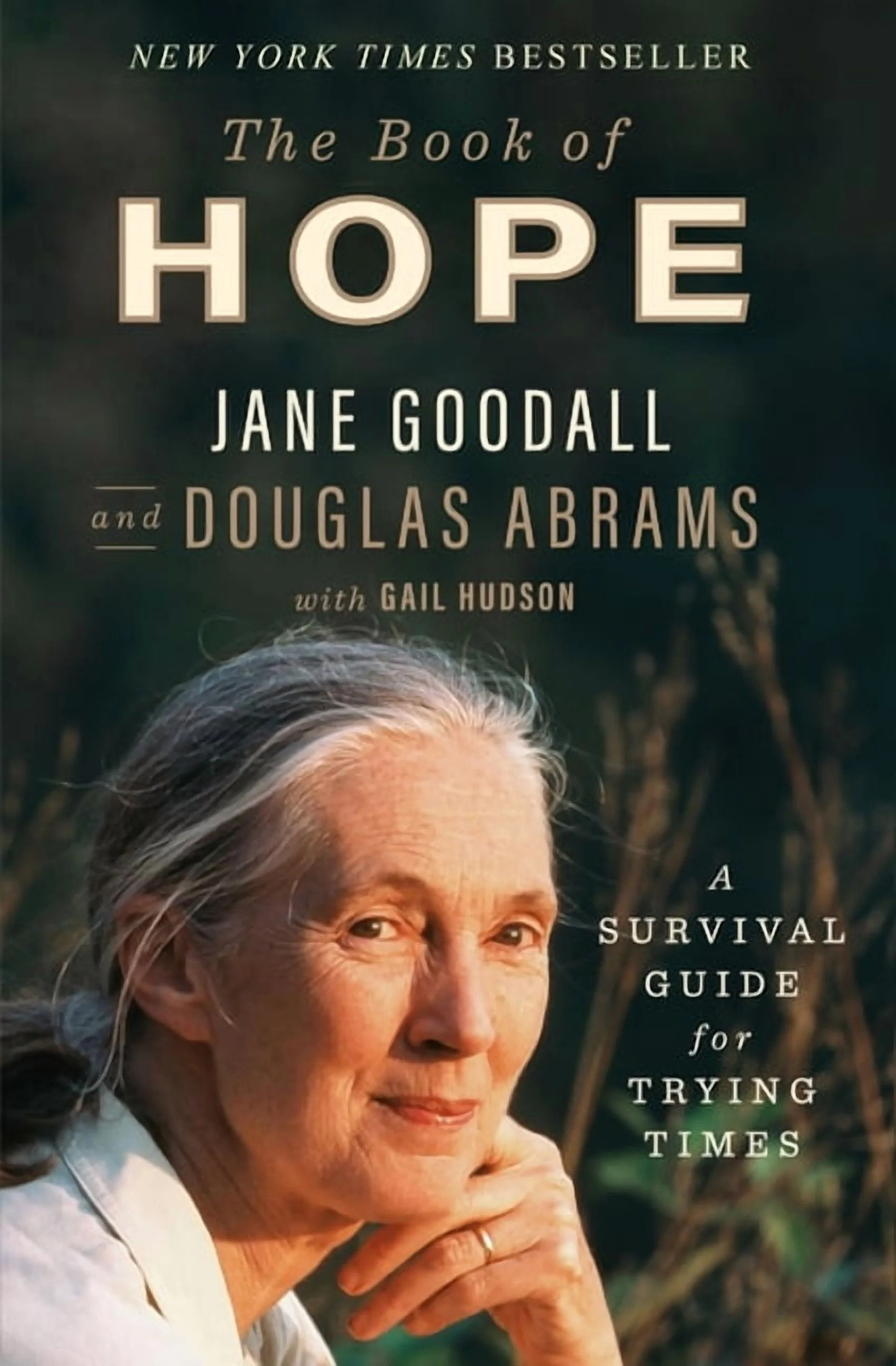 Global Icons The Book of Hope: A Survival Guide for Trying Times, (Hardcover) | Walmart (US)
