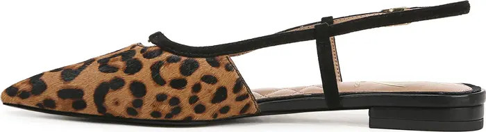 Cohen Pointed Toe Flat (Women) | Nordstrom