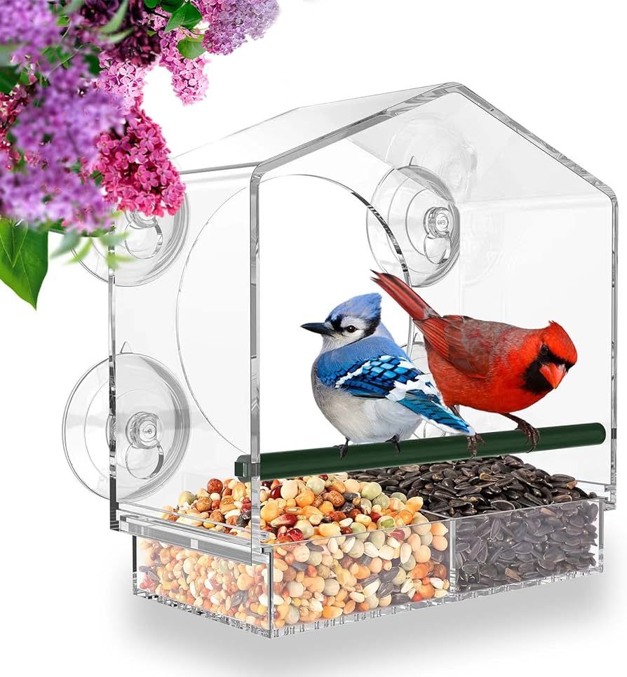 Mrcrafts Window Bird Feeder for Outside with Strong Suction Cups, Fits for Cardinals, Finches, Ch... | Amazon (US)