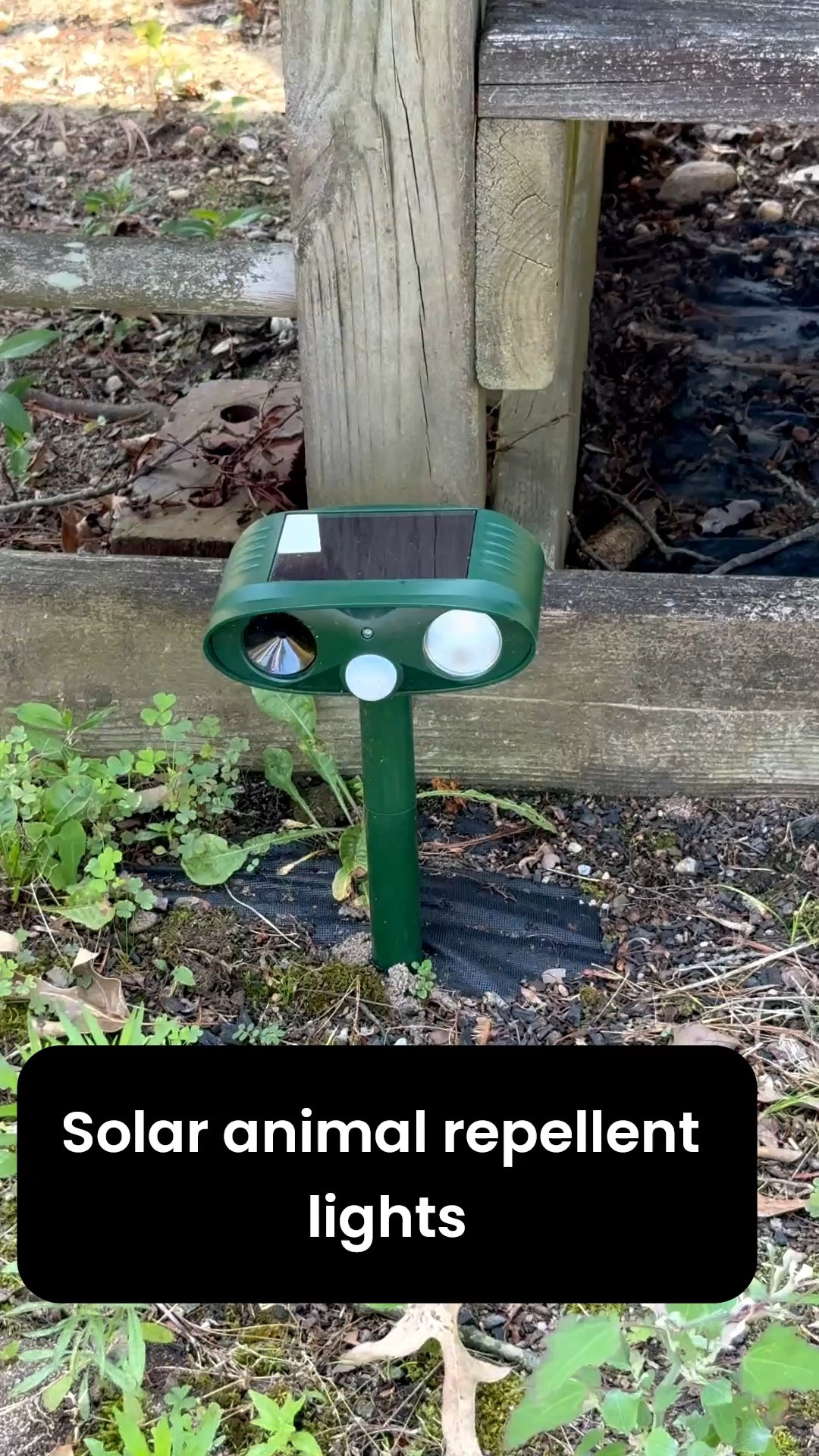 These solar animal repellent lights are what I’ve been using in my garden. Foxes, raccoons, and cats don’t like them so they stay out of my garden planters. I’ve been using these since October and so far, they’ve done what I need them to do!

#LTKHome #LTKSeasonal #LTKvlog