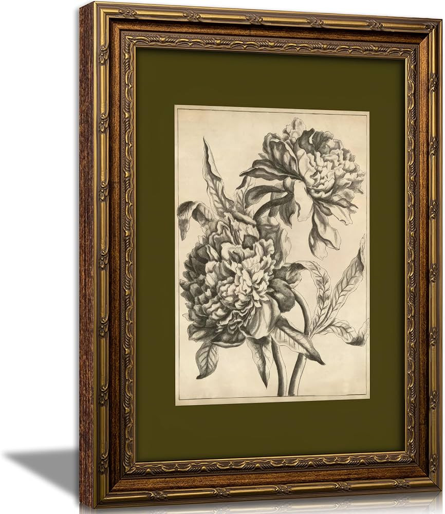 Vintage Gold Framed Floral Canvas Wall Art,Retro Flower Sketch Botanical Painting Picture Wall De... | Amazon (US)