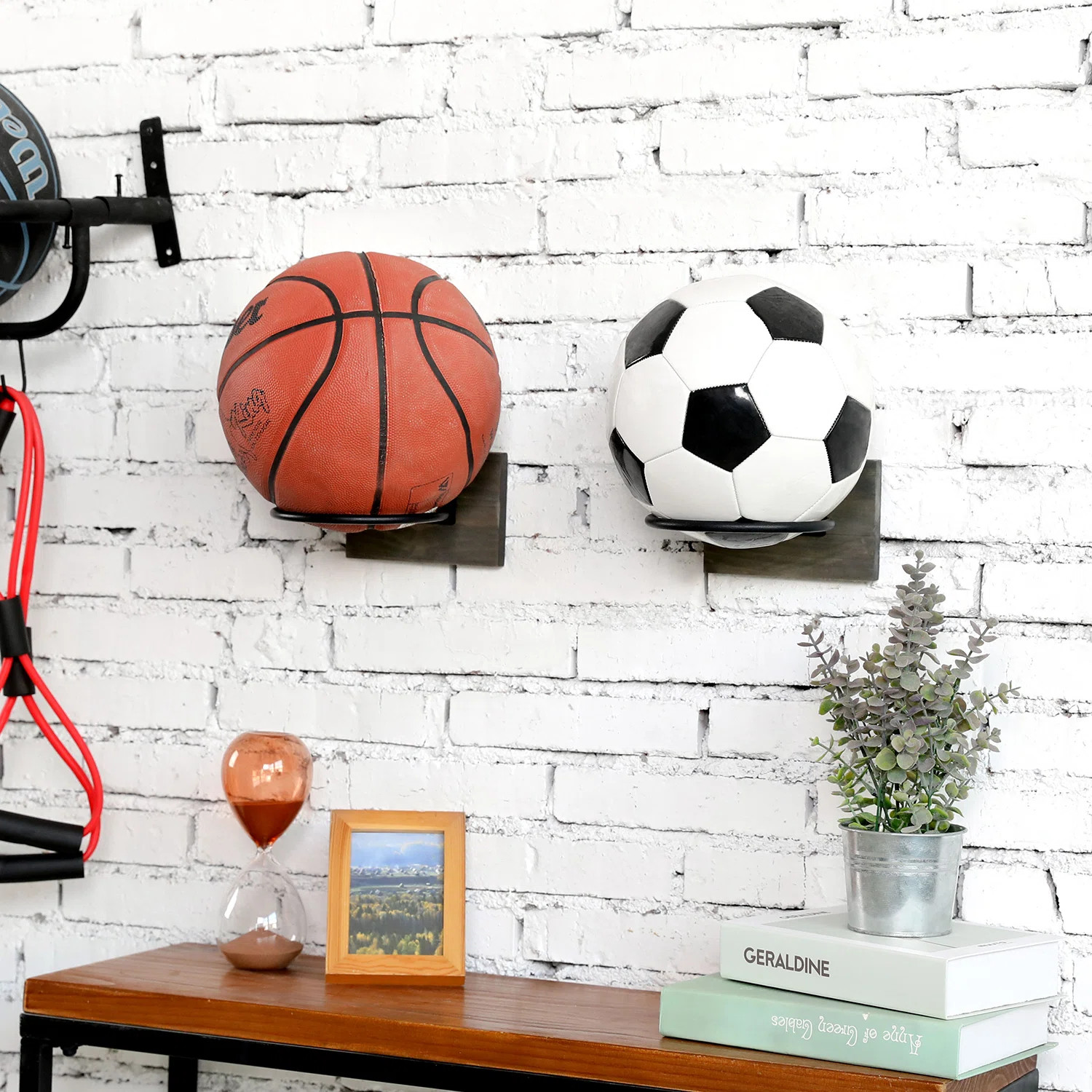 Kamloops Wall Mounted Sports Ball Rack | Wayfair North America
