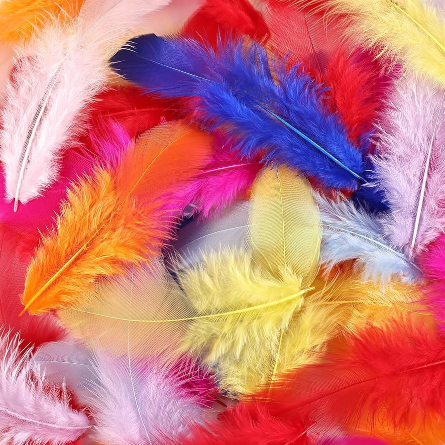 Colorful Craft Rooster Feathers 300pcs 3-5inch Colored Bulk Feathers Natural Feathers for Craftin... | Amazon (US)