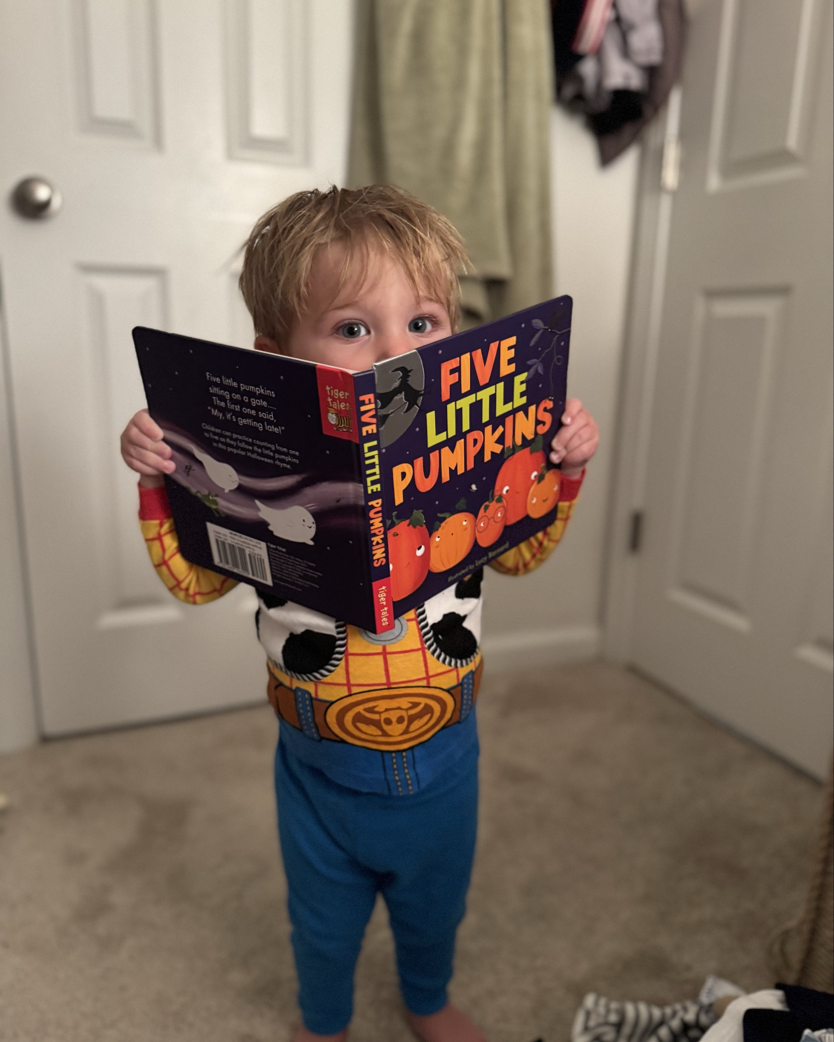 His Favorite Halloween Read & Woody / Buzz Pajamas 

#LTKFamily #LTKKids #LTKHalloween