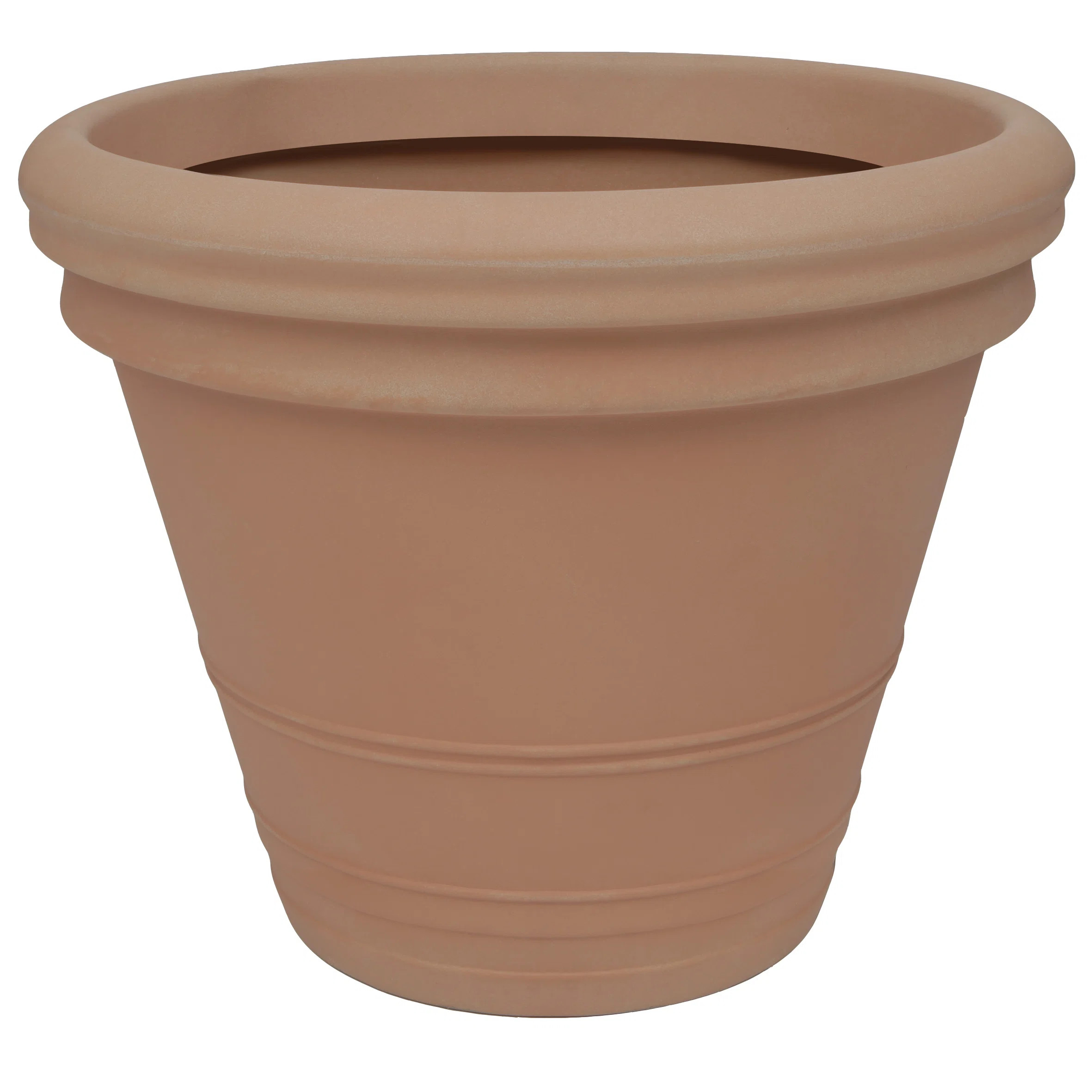 Licinia Wall Planter | Wayfair North America