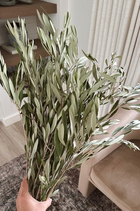 My favorite olive stems 🫒 I’ve been ordering these once a year for years and they last so long, even pretty when they dry out. I get the jumbo size 🤍

#olivestems #greenery #olivebranch #springhomedecor #homedecor #homefind #stems 

#LTKSeasonal #LTKhome #LTKfindsunder50