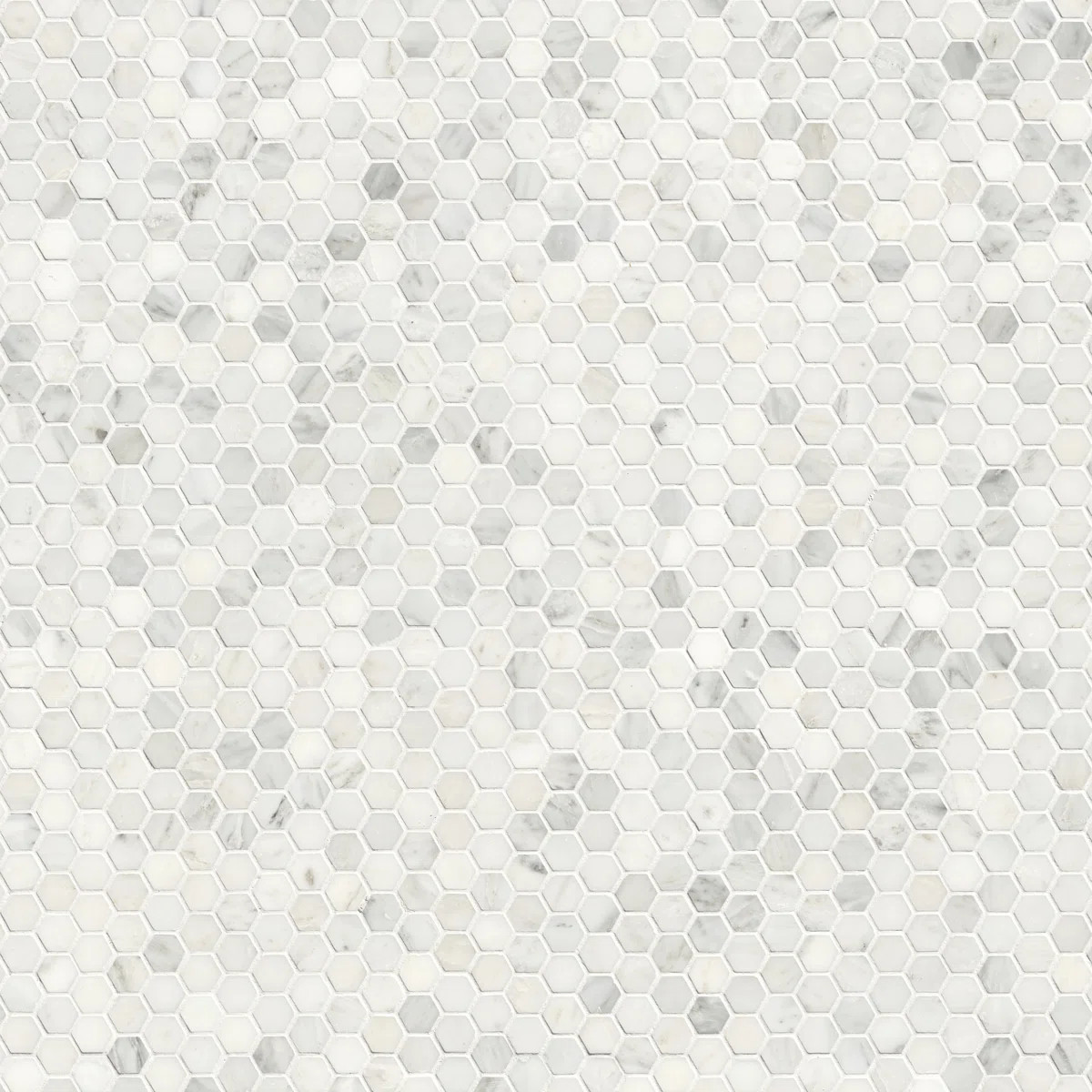 Arabsecato Carrara 1" Hexagon 12 in. x 12 in. Honed Marble Mosaic Floor and Wall Tile | Wayfair North America