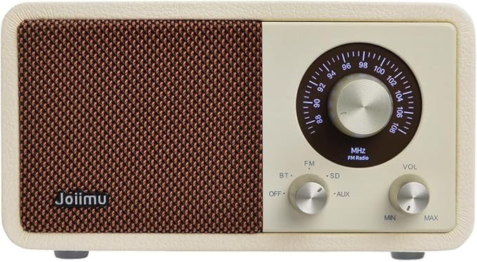 Portable FM Radio Bluetooth Speaker, 2600mAh Rechargeable, PU Leather, SD Card Support for Kitche... | Amazon (US)