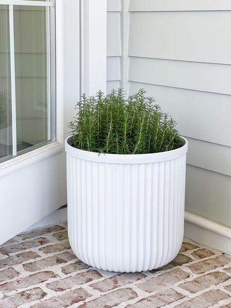 In love with this oversized resin fluted planter from Walmart! I’ll also link the designer concrete version from Pottery Barn. I’ve owned both and love both styles! Perfect as a flower pot or for a potted herb garden!
.
#ltkhome #ltkunder50 #ltkstyletip #ltkseasonal #ltkunder100 #ltkseasonal spring porch decor, patio decor, spring planters #ltksalealert


#LTKhome #LTKSeasonal #LTKsalealert