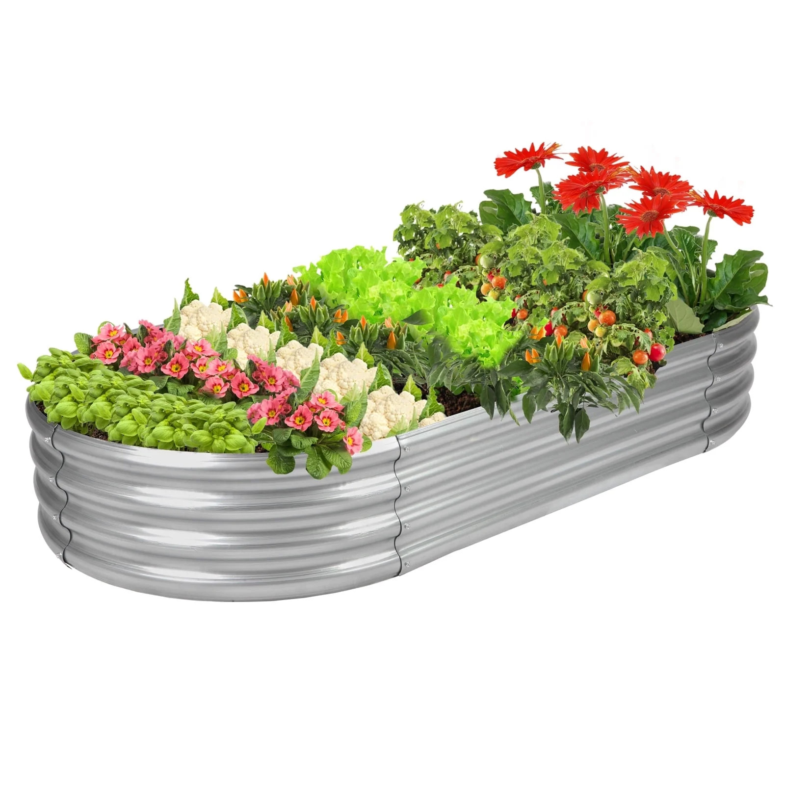 Galvanized Raised Garden Bed Kit 6ft, Galvanized Planter Raised Garden Boxes Outdoor, Oval Metal ... | Walmart (US)