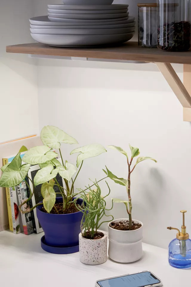 Modern Sprout Growbar Light | Urban Outfitters (US and RoW)