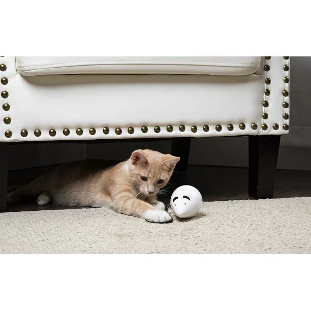 Premier Pet Rolo Rat Automatic Cat Toy - Interactive Toy Moves in Random Directions Providing Lon... | Walmart (US)