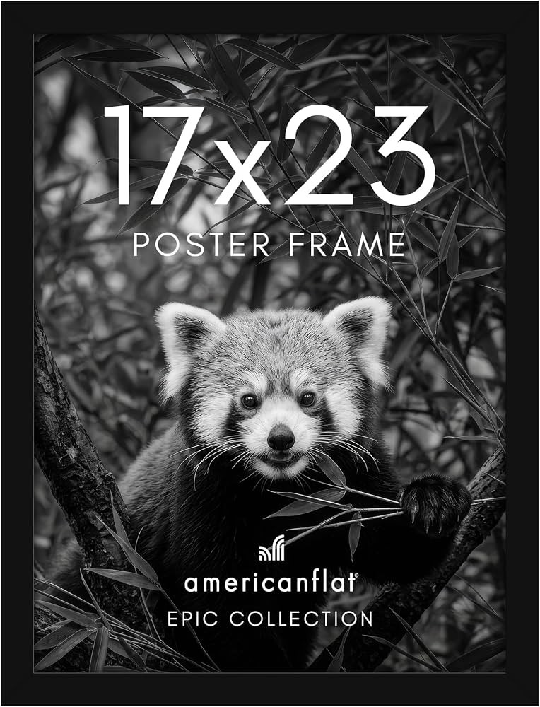 Americanflat 17x23 Poster Frame - Engineered Wood - Black | Amazon (US)